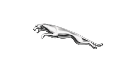 Jaguar Jaguar